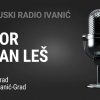 Javor Bojan Leš