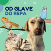 Od glave do repa 23.03.2026.