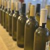 Obitelj Husnik proizvela ovogodišnje “Milkino vino”