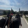 Uspješno održana Konjijada u Kloštru Ivaniću – neki od nagrađenih konjogojaca s područja Otoka Ivanića