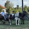 POSAVSKI DAN U POSAVSKIM BREGIMA RAZVESELIO LOKALNO STANOVNIŠTVO