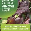 MINISTARSTVO POZIVA NA POJAČAN OPREZ ZBOG ŠIRENJA ZLATNE ŽUTICE VINOVE LOZE